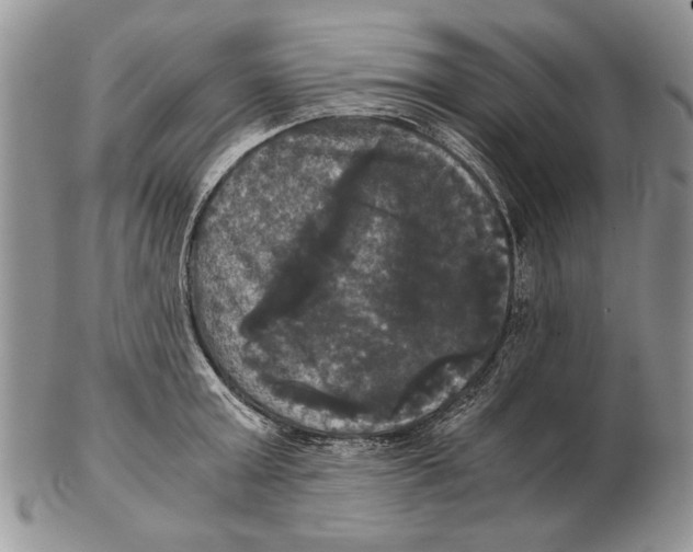 X0000102240803200808221329