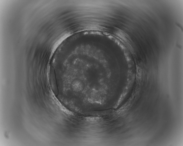 X0000102240804200808221329