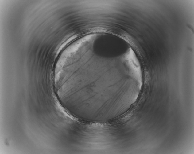 X0000102240806200808221329