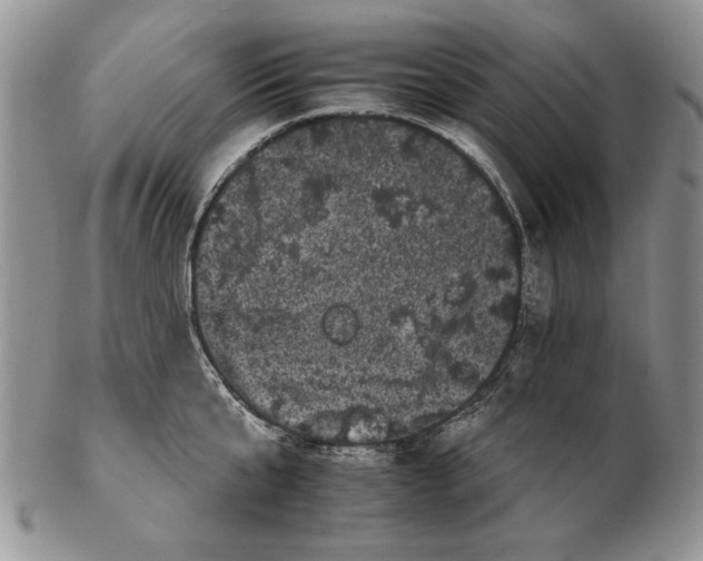 X0000102240807200808221329