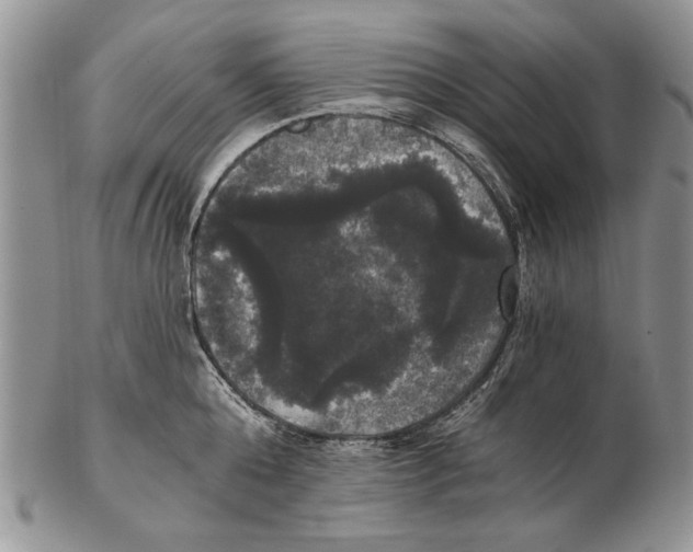 X0000102240808200808221329