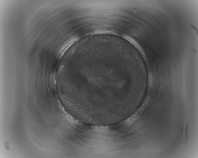 X0000102240809200808221329