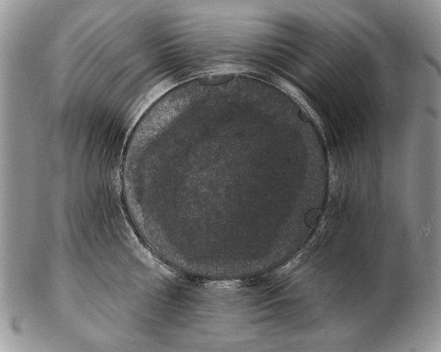 X0000102240810200808221329