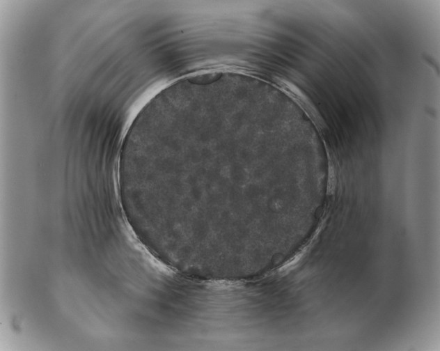 X0000102240812200808221329