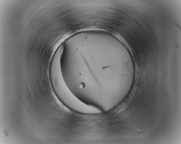 X0000102240813200808221329