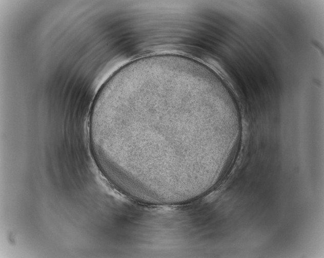 X0000102240814200808221329