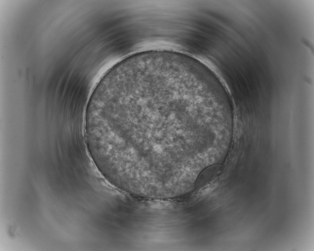 X0000102240815200808221329