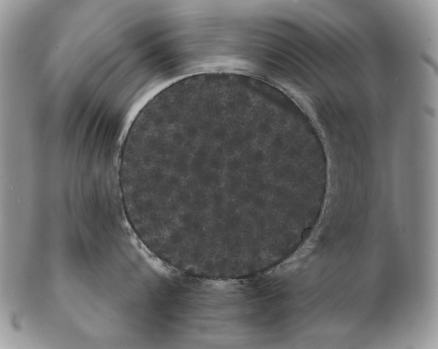 X0000102240816200808221329