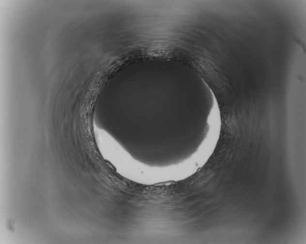 X0000102240817200808221328