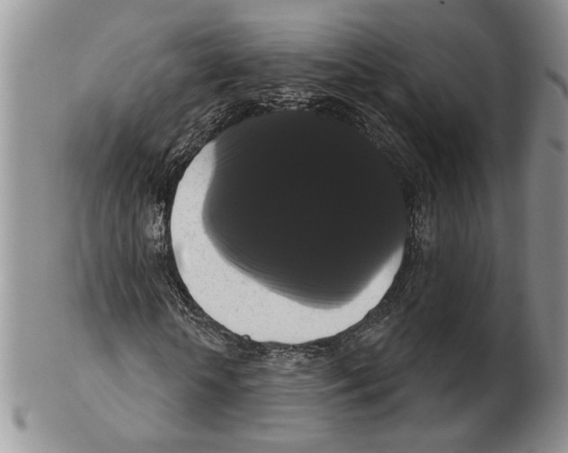 X0000102240818200808221328