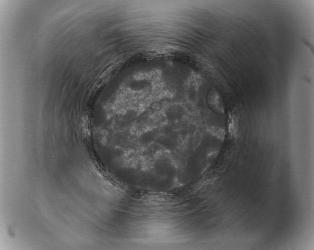 X0000102240819200808221328