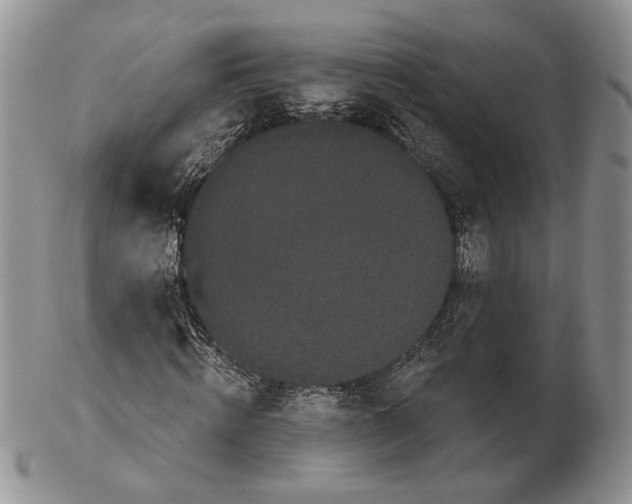 X0000102240820200808221328