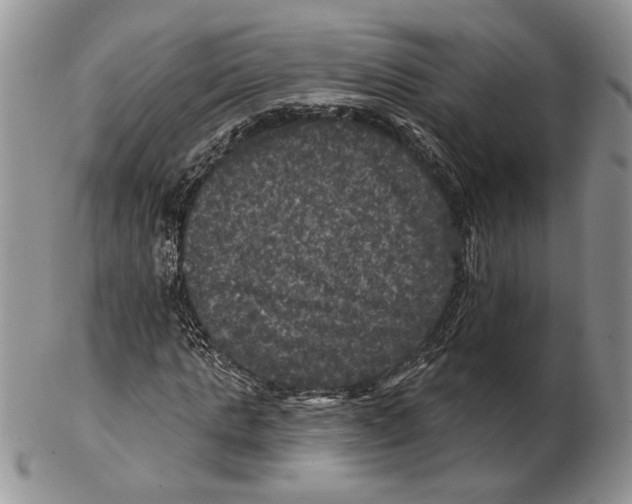 X0000102240821200808221328