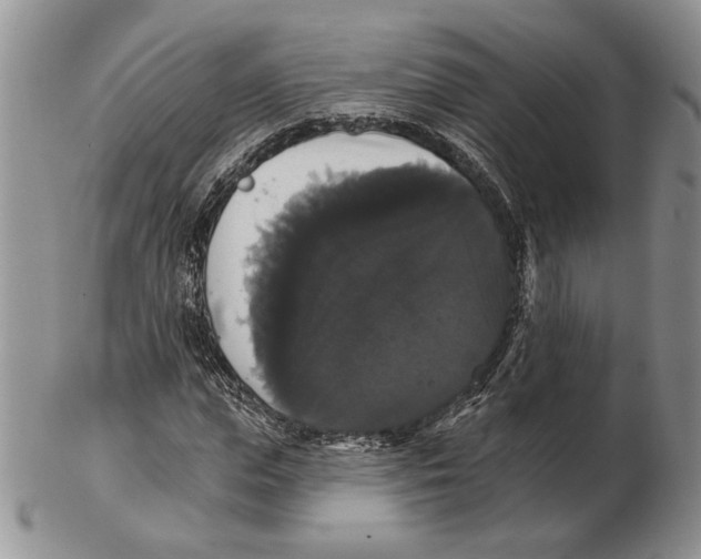 X0000102240823200808221328