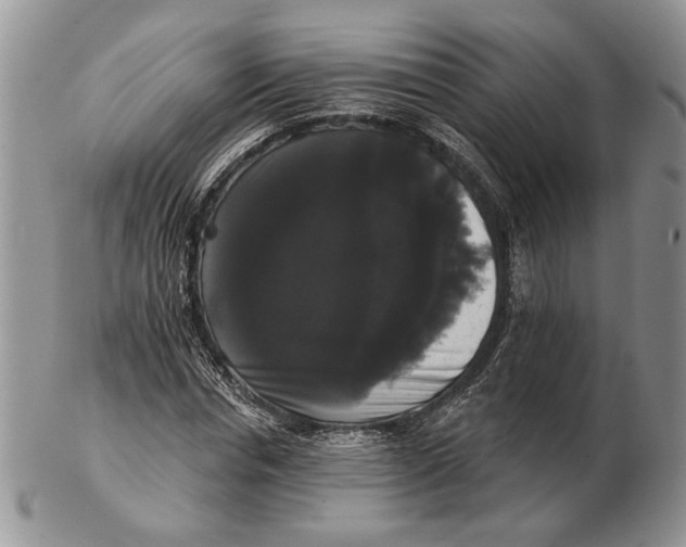 X0000102240826200808221328