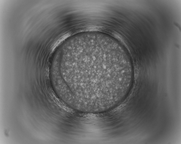 X0000102240827200808221328