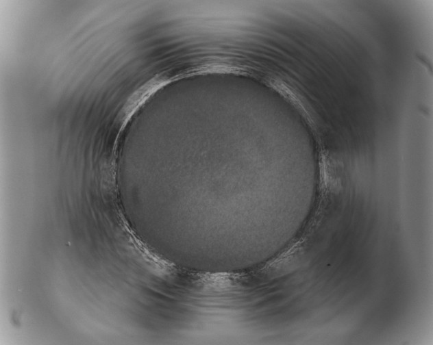 X0000102240828200808221328