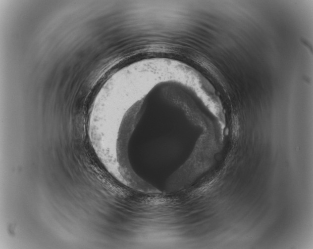 X0000102240829200808221328