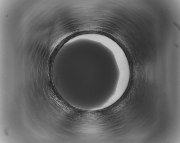 X0000102240830200808221328