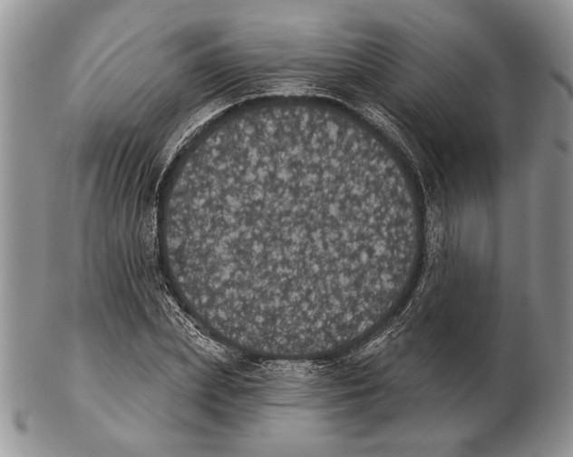 X0000102240831200808221329