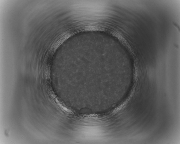 X0000102240833200808221329