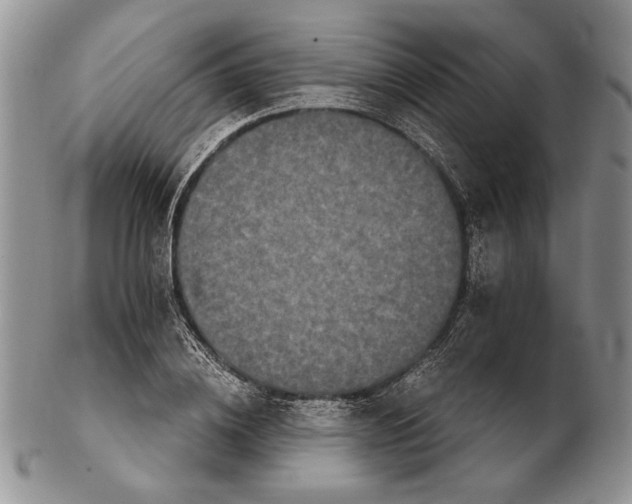 X0000102240836200808221329