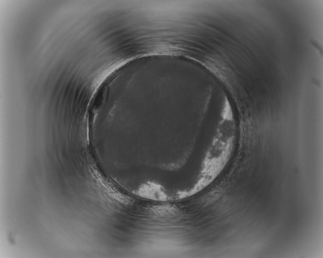 X0000102240838200808221329