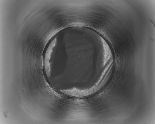 X0000102240839200808221329