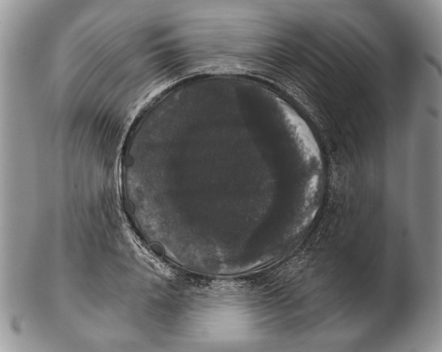 X0000102240840200808221329