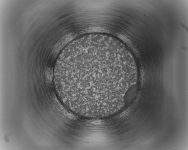 X0000102240841200808221329