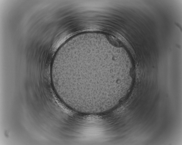 X0000102240842200808221329