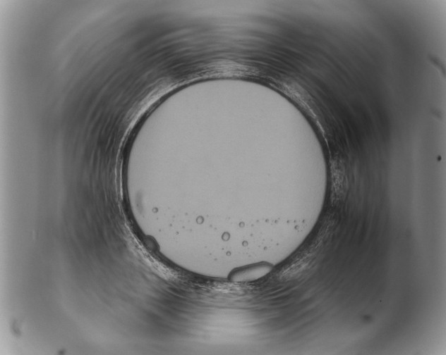 X0000102240843200808221329