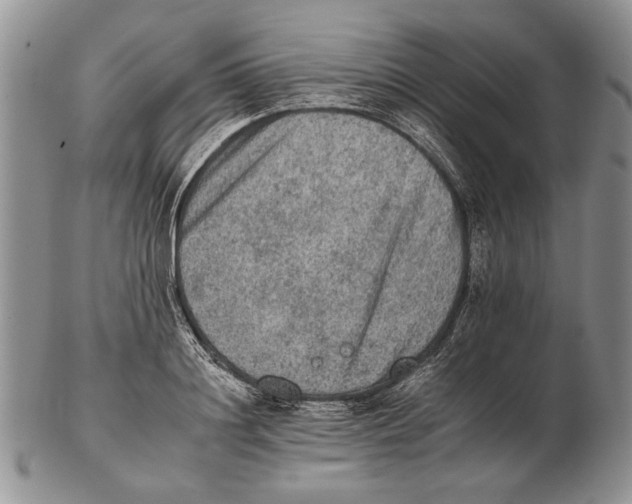 X0000102240844200808221329