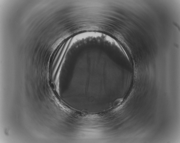 X0000102240845200808221329