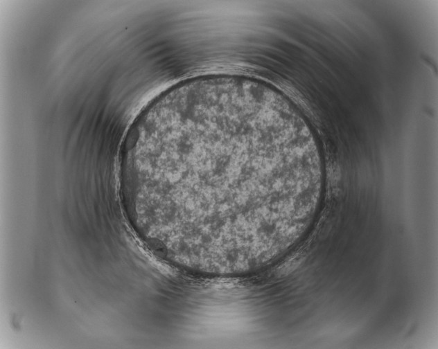 X0000102240846200808221329