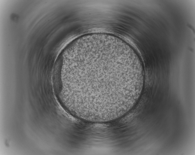 X0000102240847200808221329