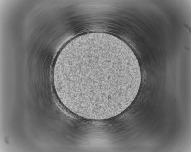 X0000102240848200808221329