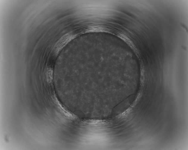 X0000102240849200808221329