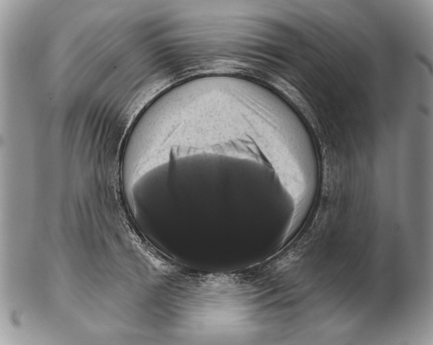 X0000102240850200808221329