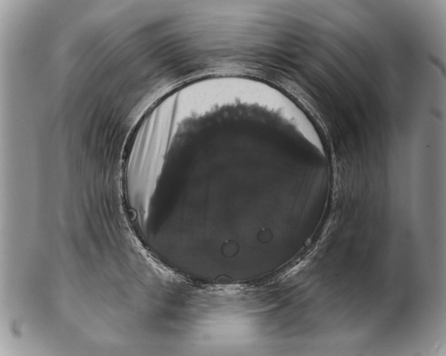 X0000102240853200808221329