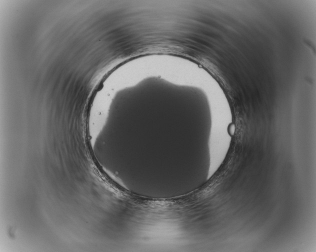 X0000102240854200808221329