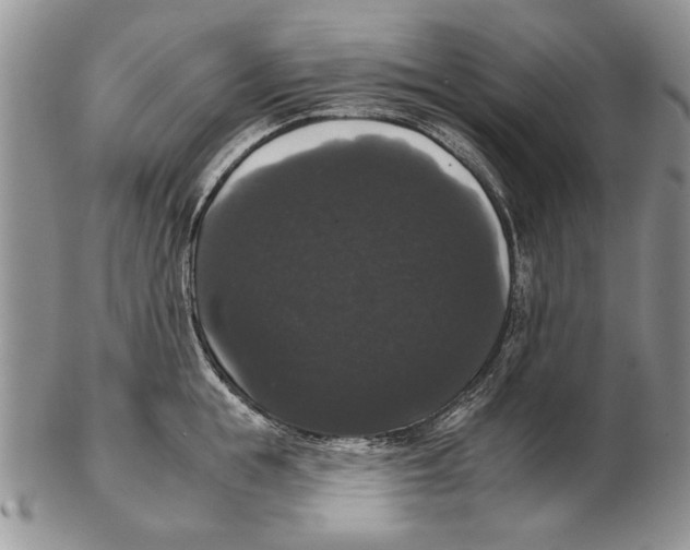 X0000102240855200808221329