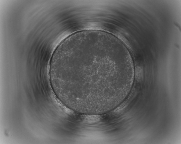 X0000102240856200808221329