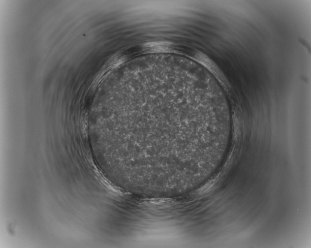 X0000102240857200808221329