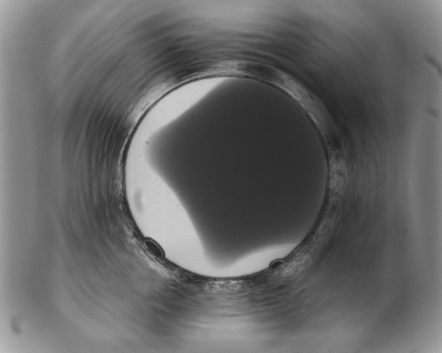 X0000102240858200808221329