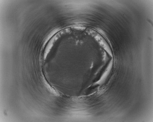 X0000102240859200808221329