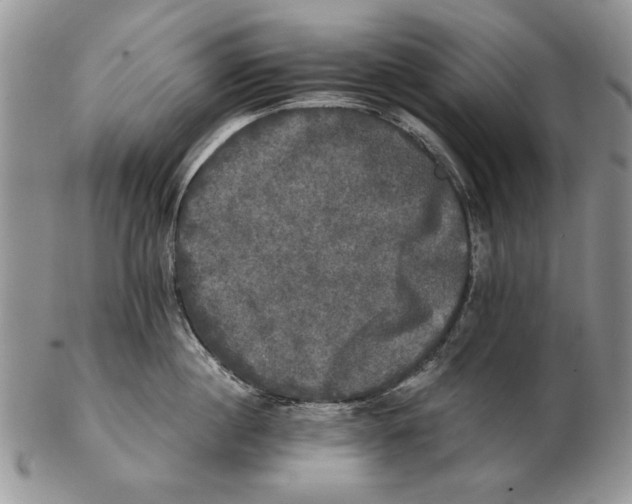 X0000102240860200808221329