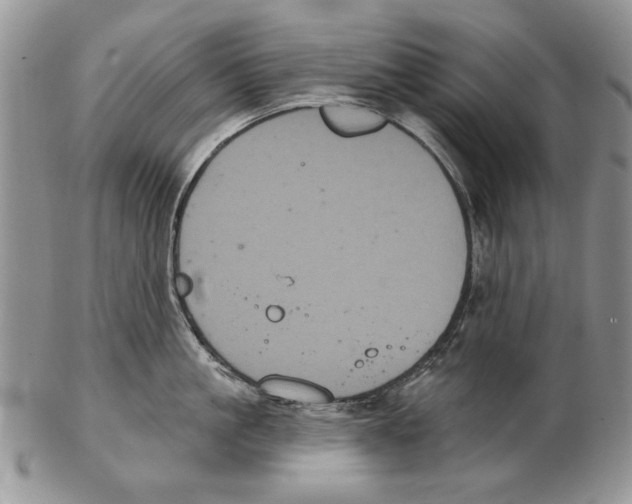 X0000102240861200808221329