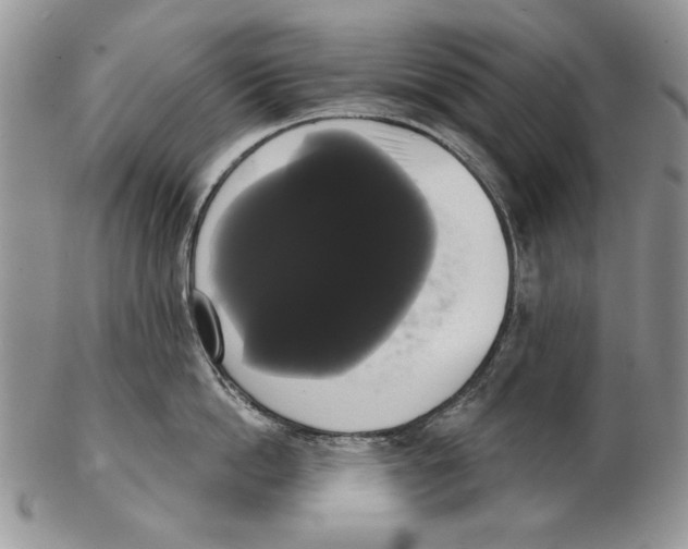 X0000102240862200808221329