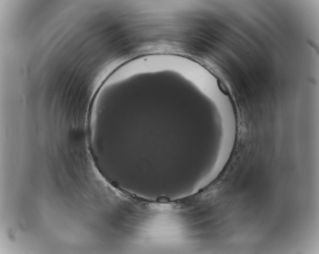 X0000102240863200808221329